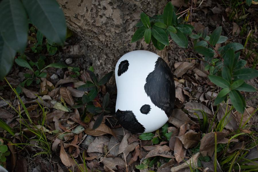 Verdina Biodegradable Pet Seed Urn-Pet Urn for Ashes-Cremation Urns- The cremation urns for ashes and keepsakes for ashes come in a variety of styles to suit most tastes, decor and different volumes of funeral ashes.