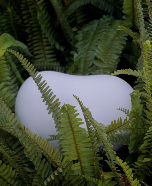 Biodegradable Urns in Australia: A Gentle Guide to Eco-Friendly Farewells