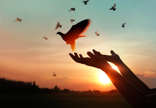 releasing dove at sunset to mark anniversary of loved one's death